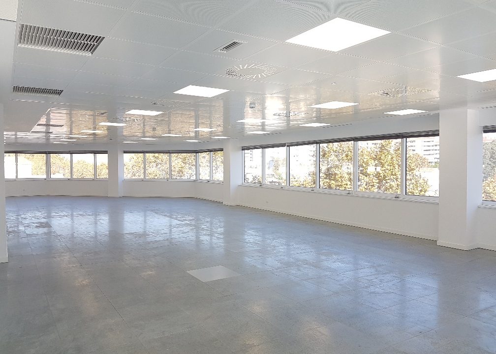 20171124_124654_resized