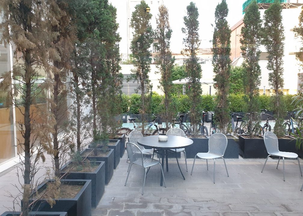 20190704_095523_resized