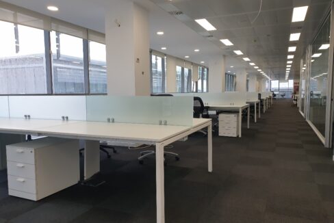 20241120_095335_resized