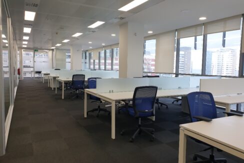 20241120_095616_resized