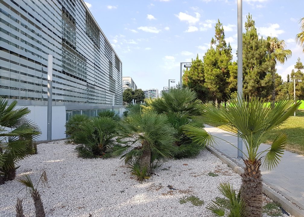 20180710_094300_resized