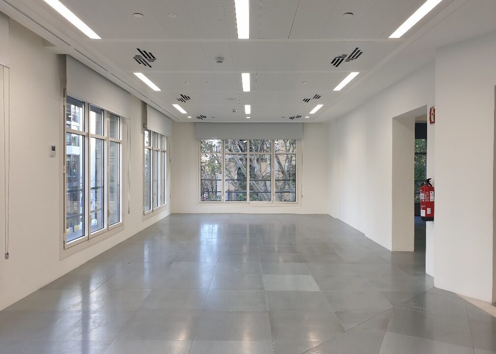 20241217_132515_resized