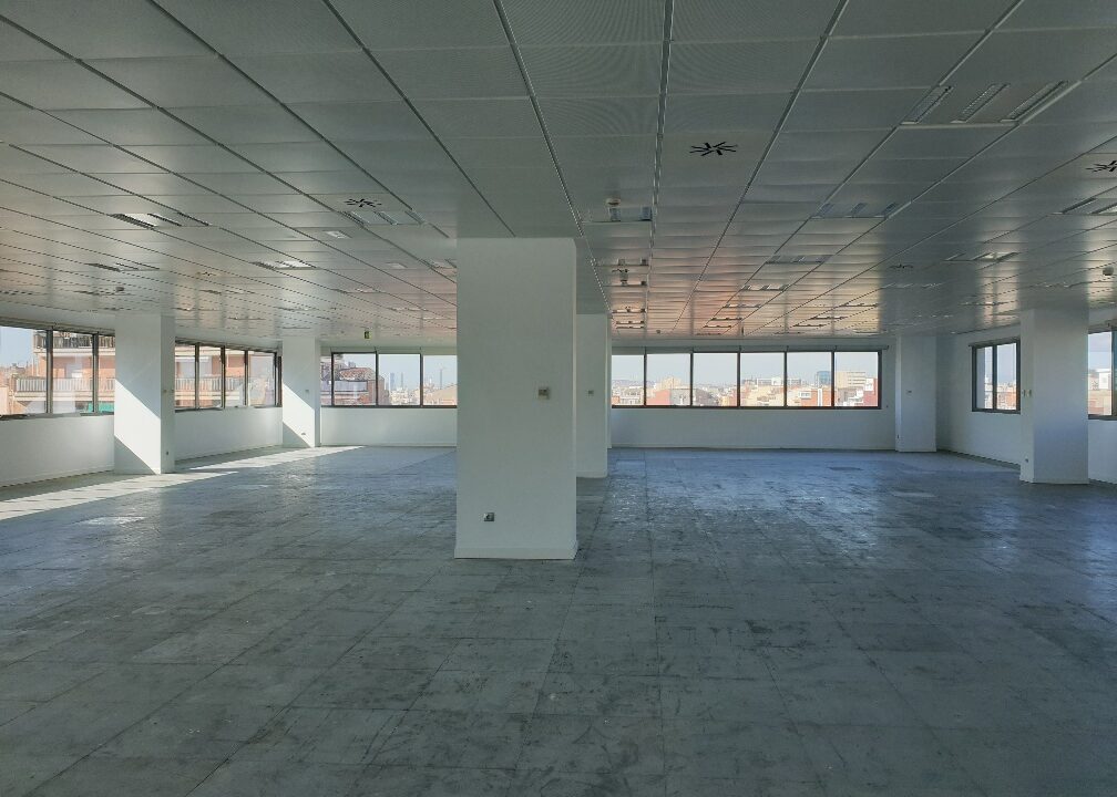 20240426_101923_resized