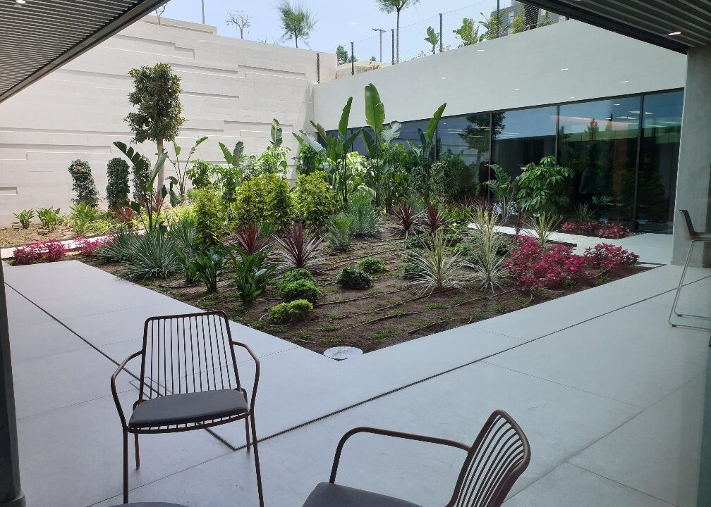 20230601_133756_resized