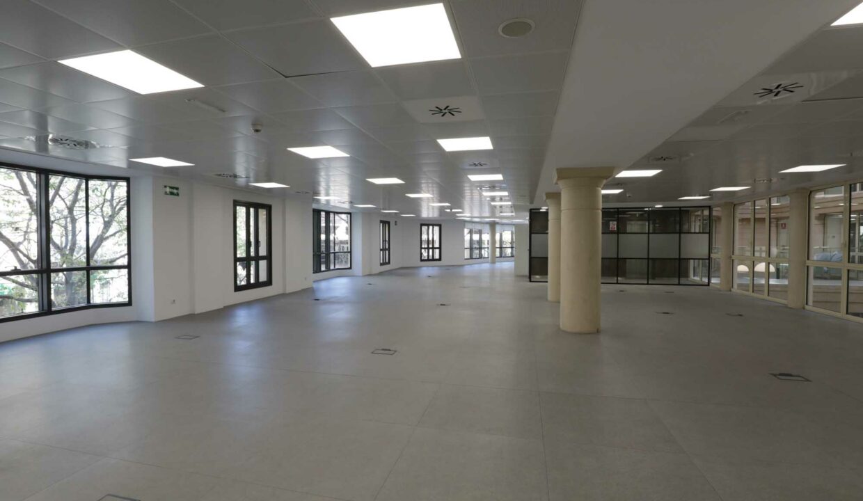 Aussias-march-planta-1-055