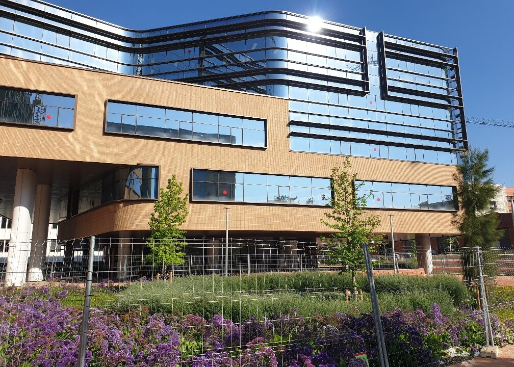 20240426_095258_resized