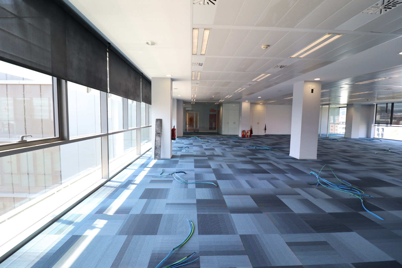 PUJADES  |  Selva de Mar