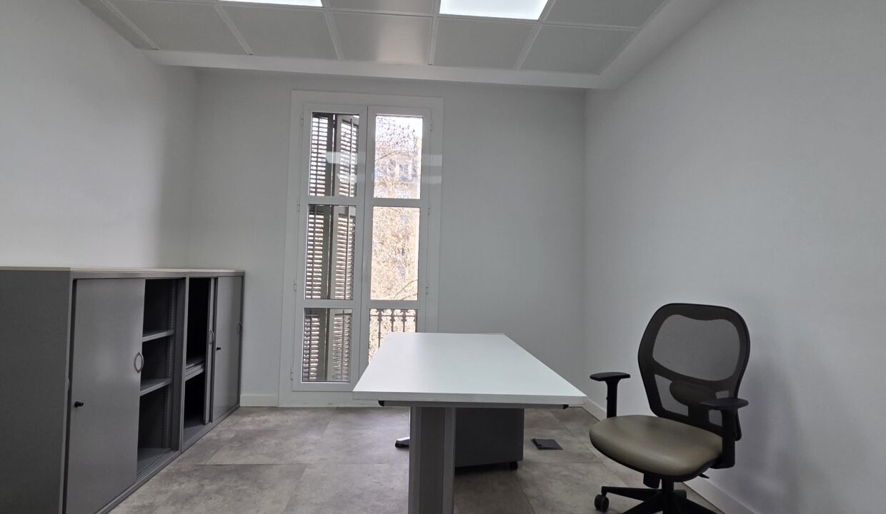 20260211_104536 - copia